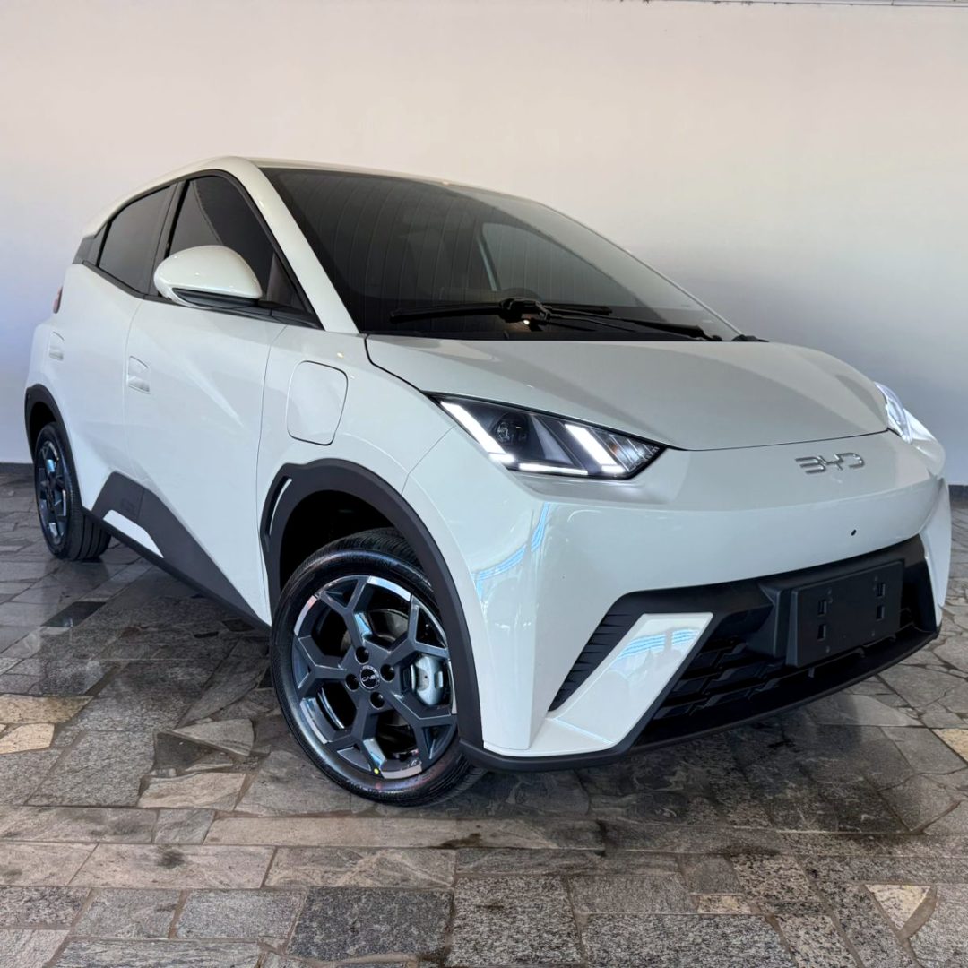1 BYD Dolphin Mini GS elétrico 2027