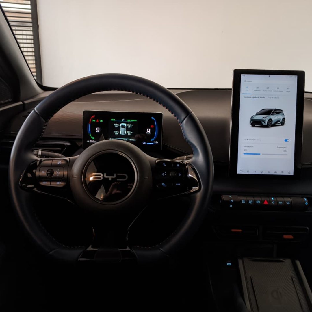 10 Byd Dolphin Mini GS - elétrico - 2025