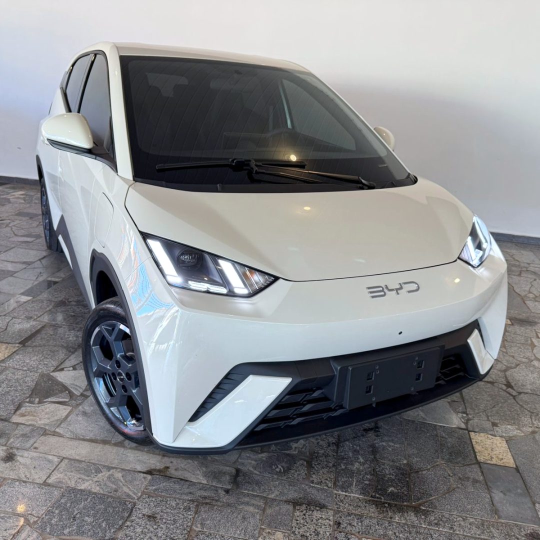 2 BYD Dolphin Mini GS elétrico 2027