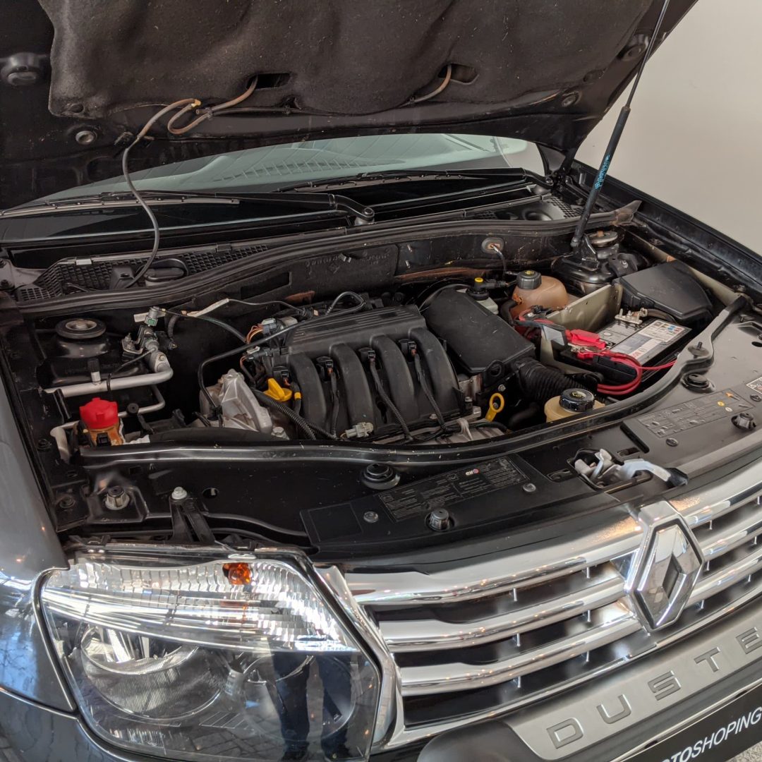 4 Duster Expression 1.6 flex 2015