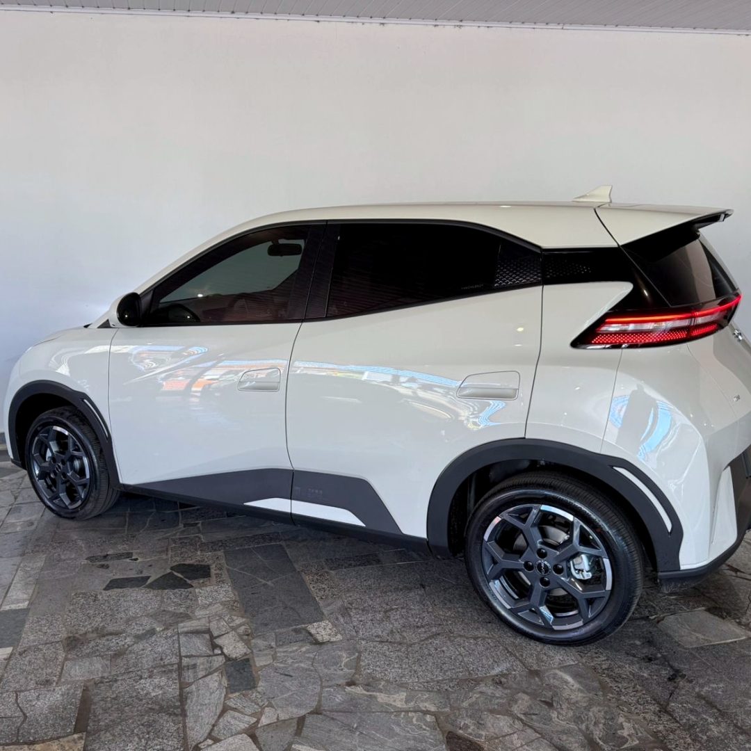 6 BYD Dolphin Mini GS elétrico 2027