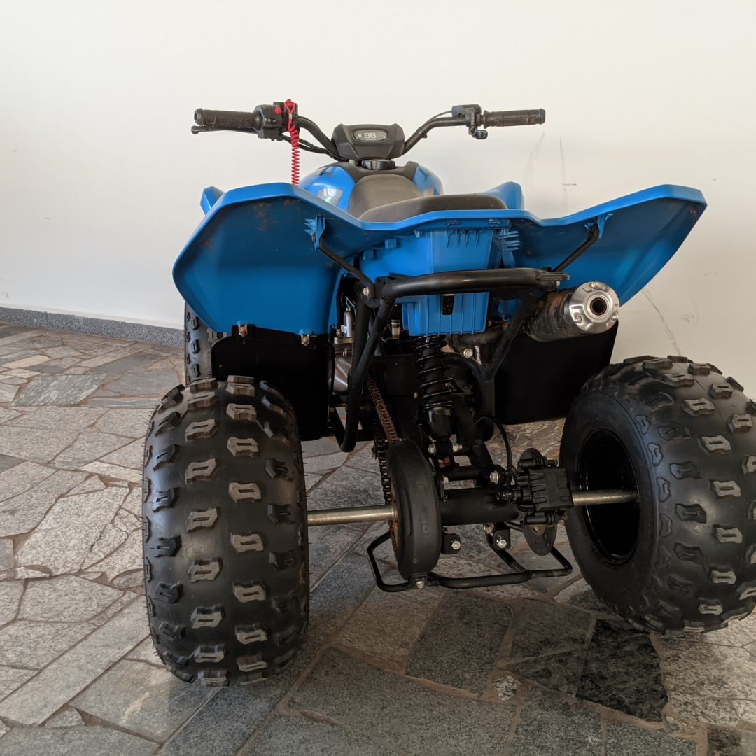 6 CForce 110 LV gasolina 2024 2