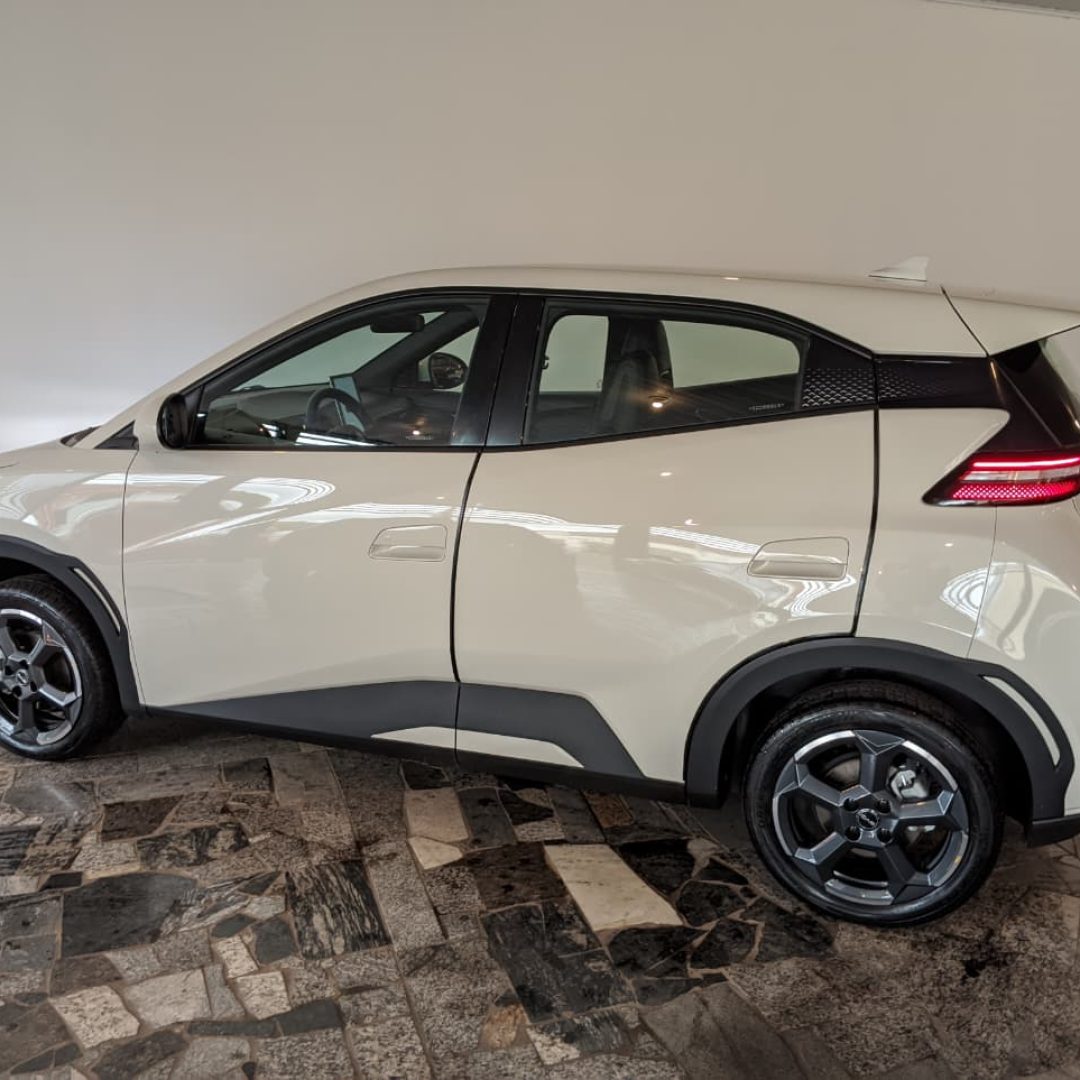 7 Byd Dolphin Mini GS - elétrico - 2025