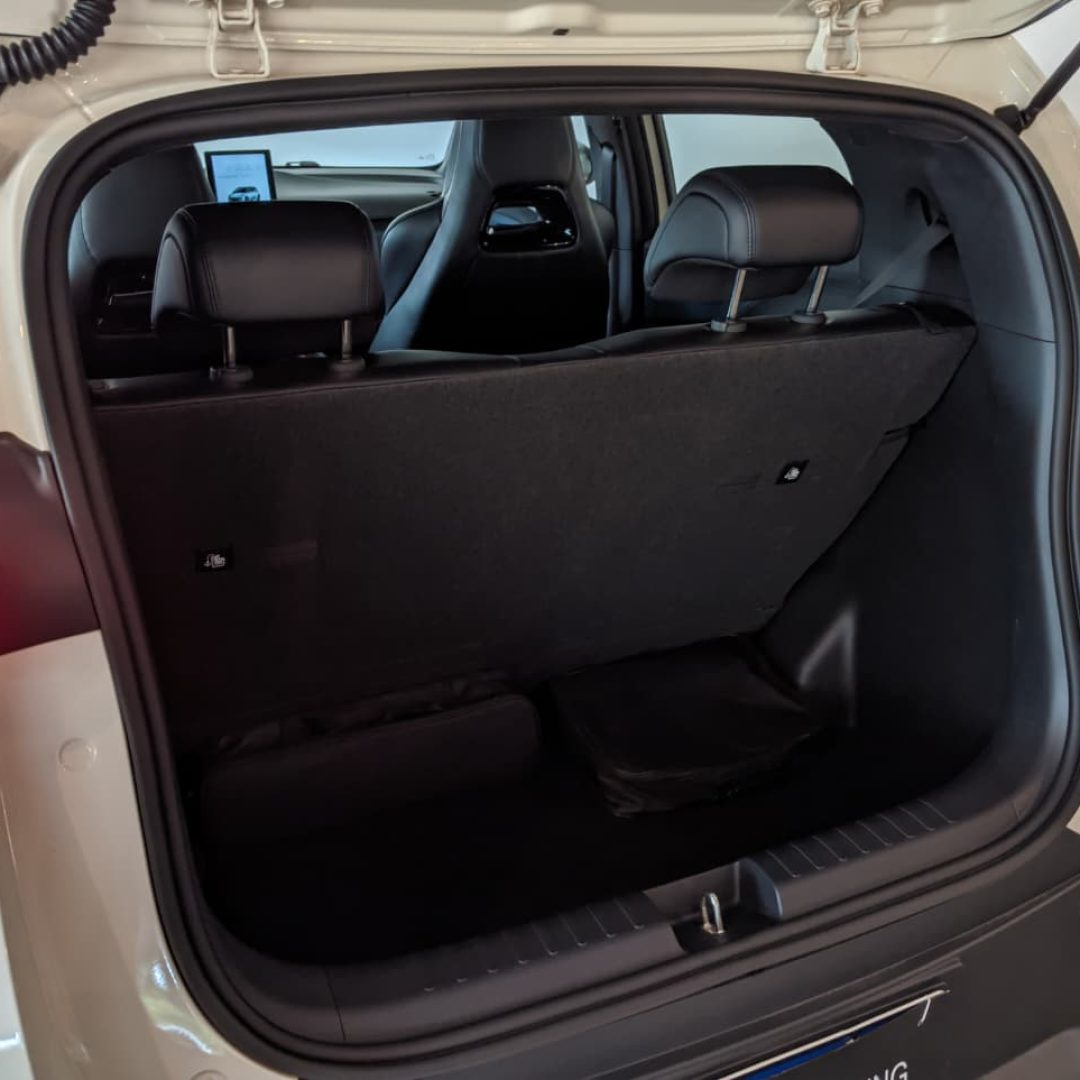 8 Byd Dolphin Mini GS - elétrico - 2025